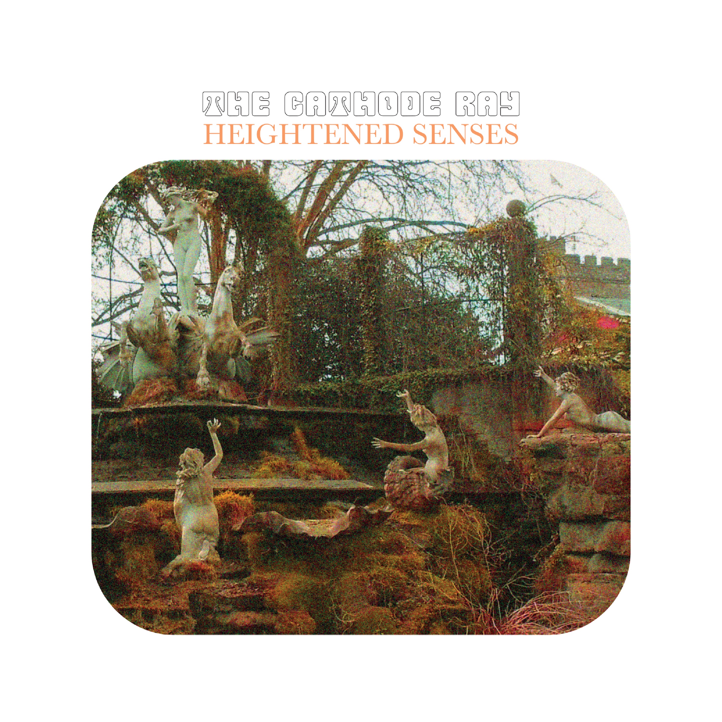 Heightened Senses Front Cover